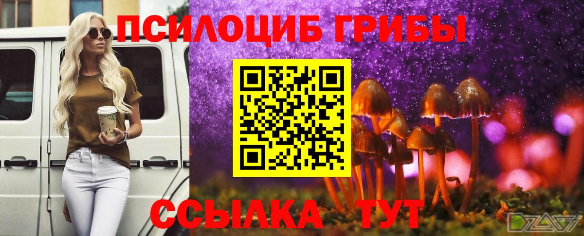 Галлюциногенные грибы прущие грибы  Вход с VPN  Дубна  Галлюциногенные грибы Magic Shrooms 