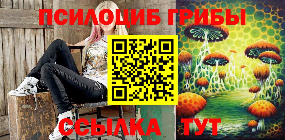 Псилоцибиновые грибы MAGIC MUSHROOMS Дубна
